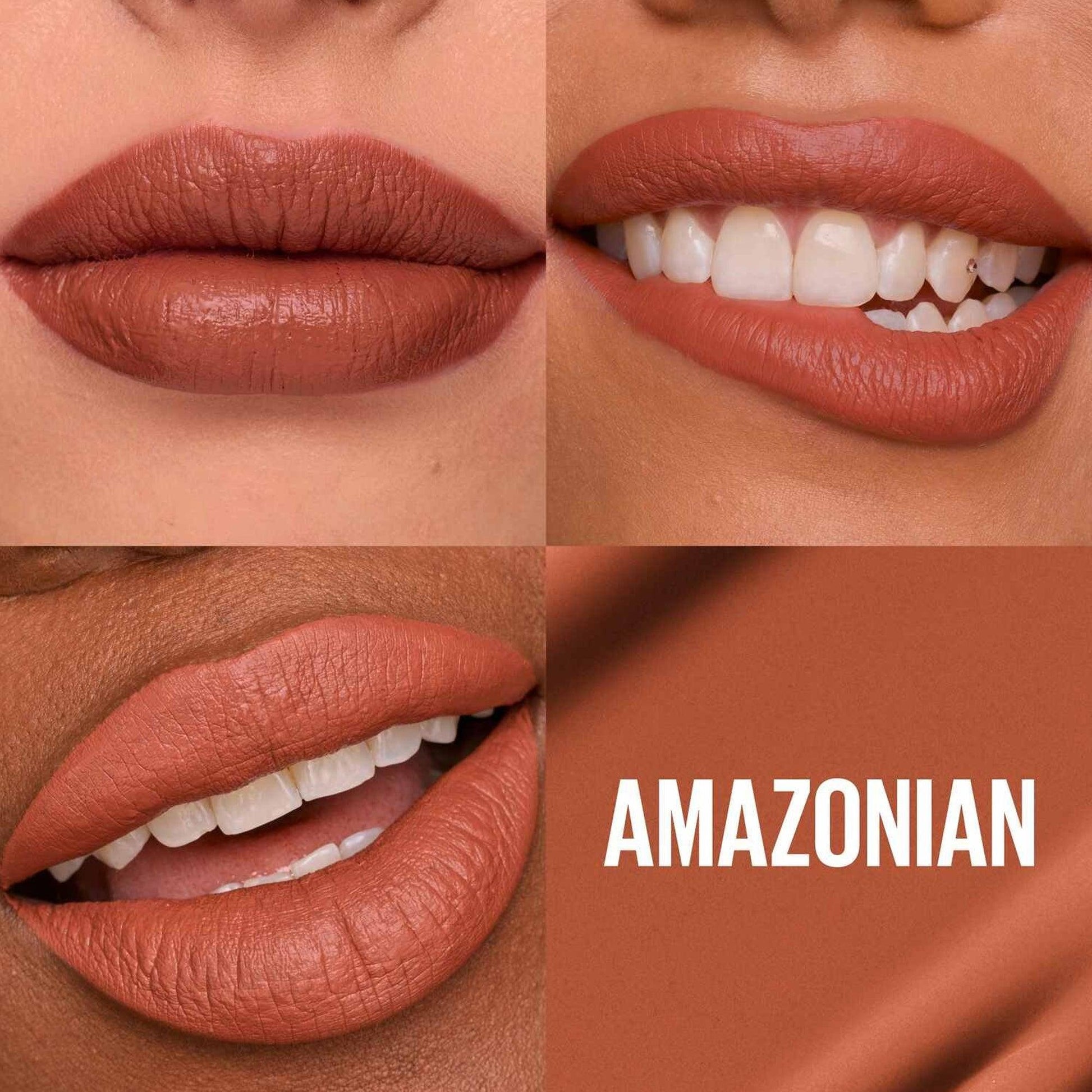 Maybelline Super Stay Matte Ink Liquid Lipstick 70 Amazonian