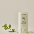 beauty of joseon matte sun stick review